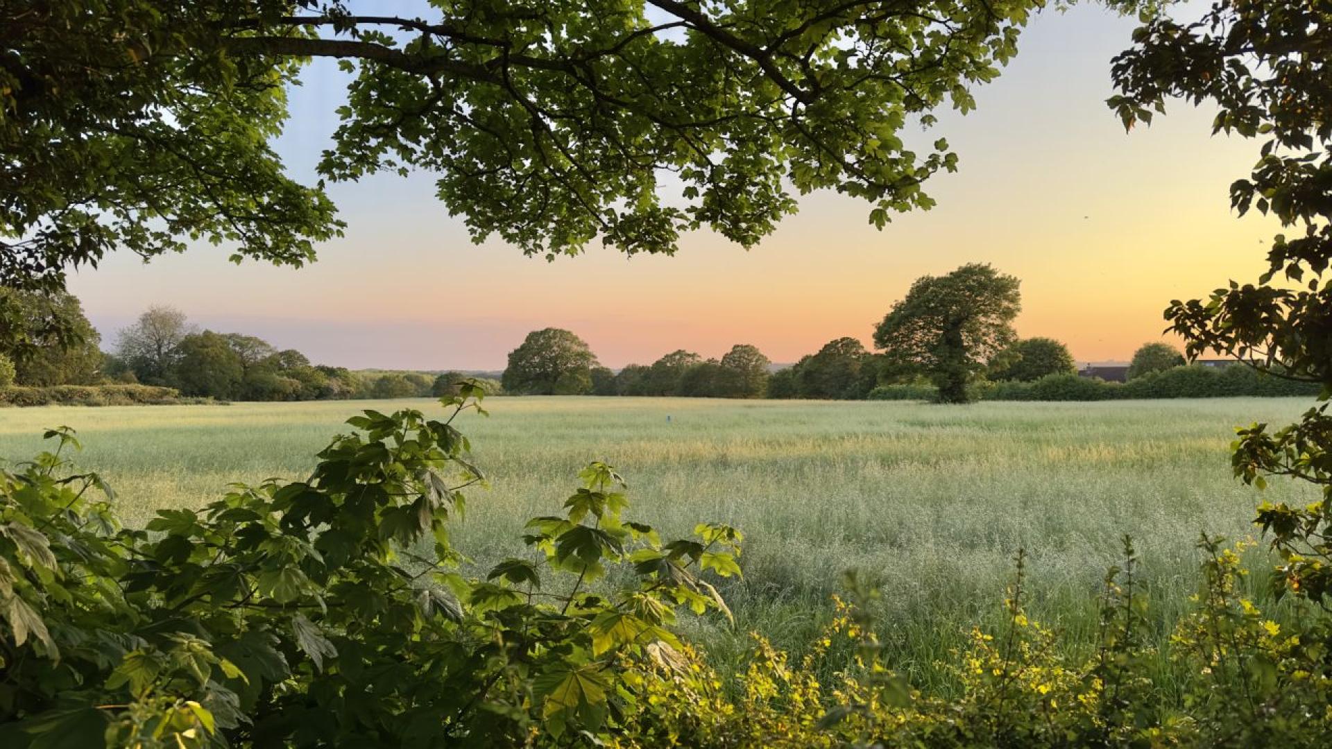 През нощта в по голямата част от страната ще преобладава ясно