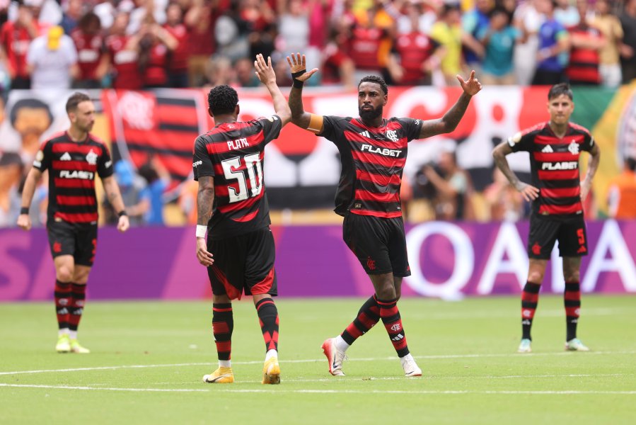 Фламенго Байерн1