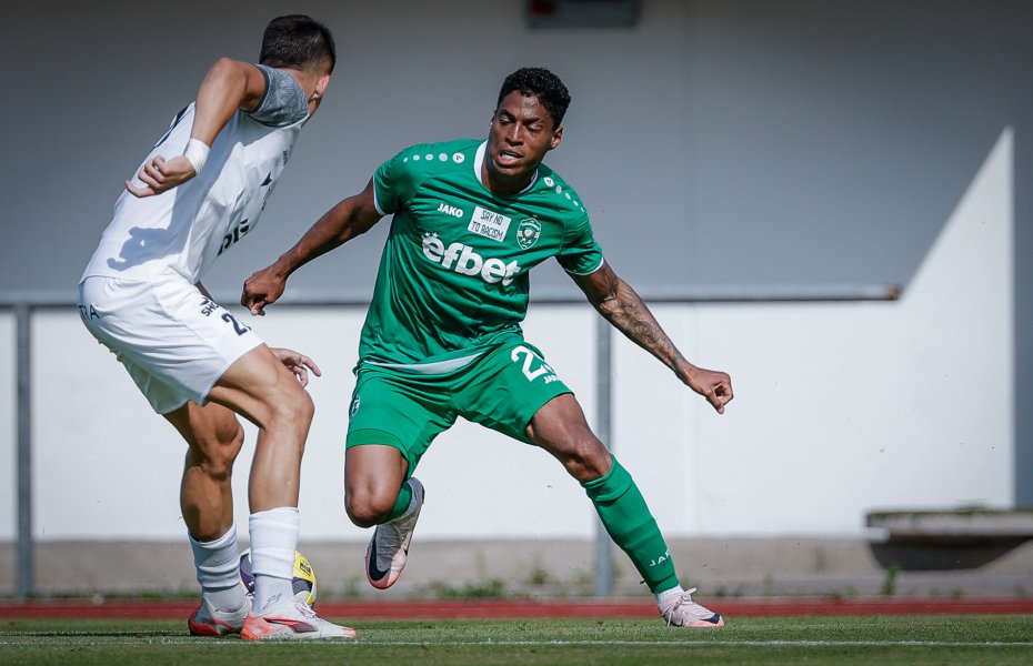 Лудогорец Храдец Кралове1