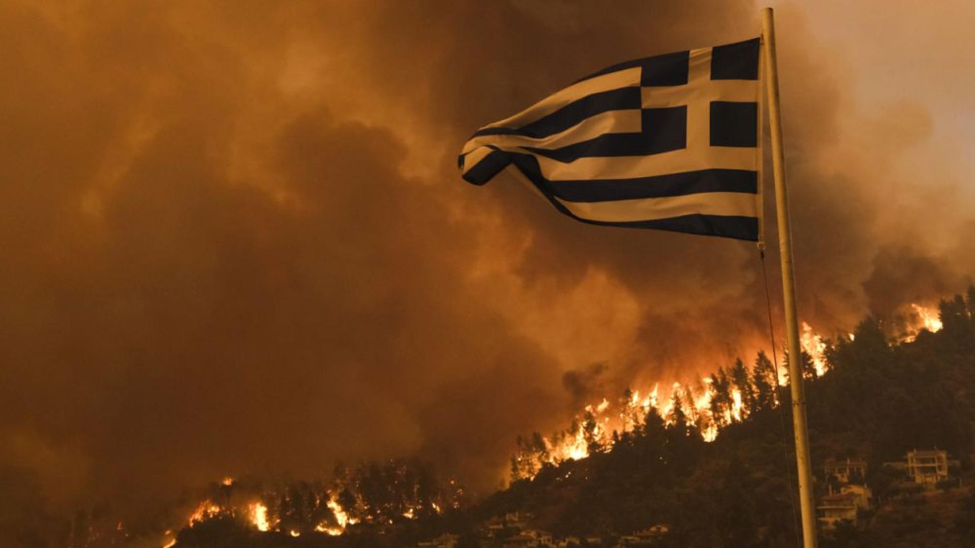 Голям горски пожар избухнал късно снощи в горските части на