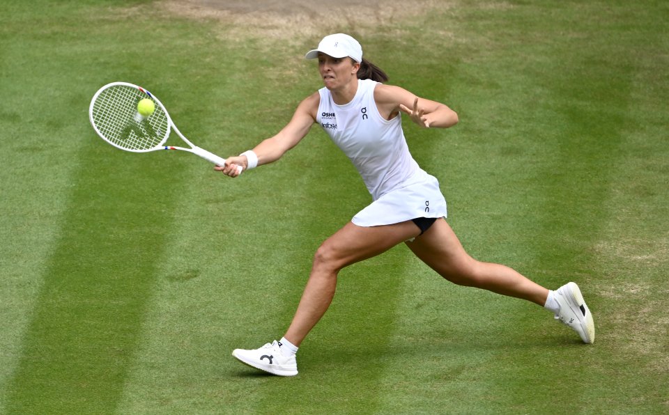 Ига Швьонтек Людмила Самсонова1