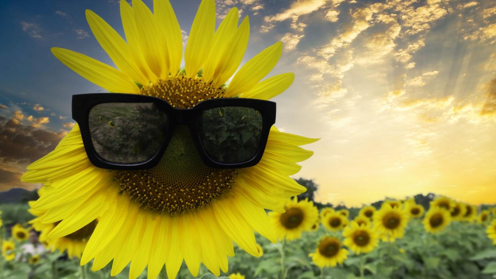 Много хора вярват че зодиакалният знак влияе върху характера емоциите