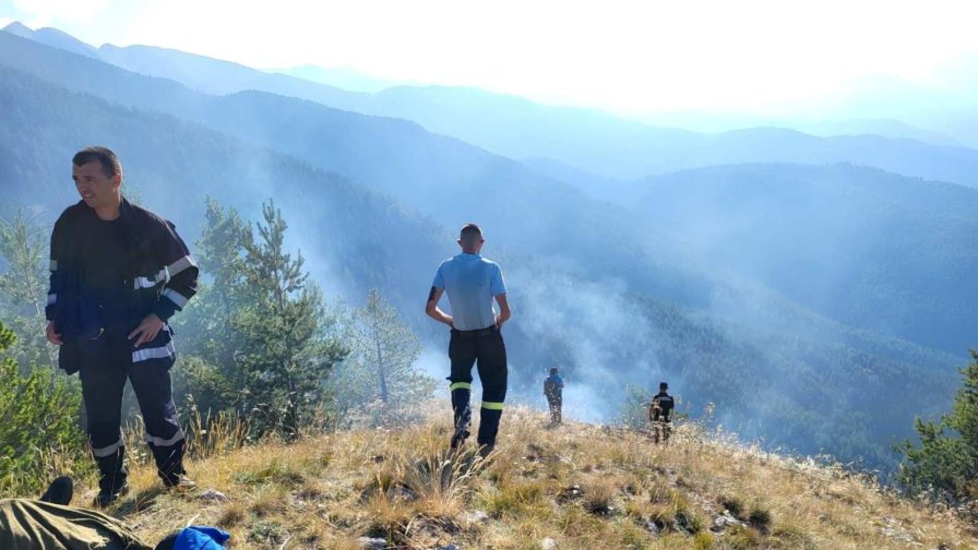 Пожар се разгоря в местността Корията в Национален парк Пирин