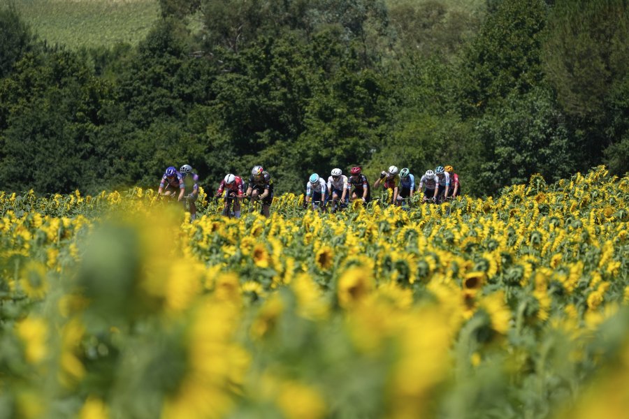 11 етап от Тур дьо Франс1