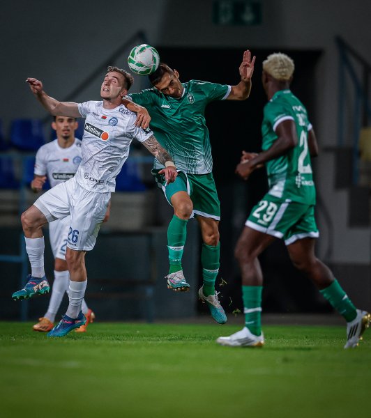 Динамо Минск Лудогорец1