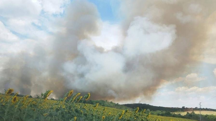 Пожарът край Костинброд: Огънят е тръгнал към детски онкоцентър