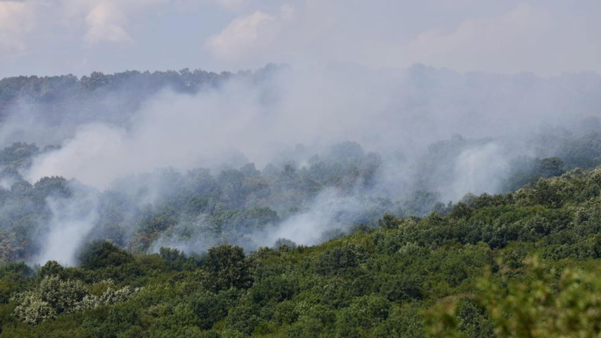 Продължава борбата с огнената стихия в община Болярово край селата