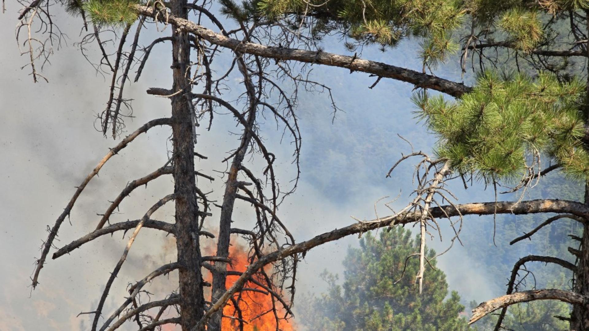 Хората от крайните махали на санданското село Плоски са изведени