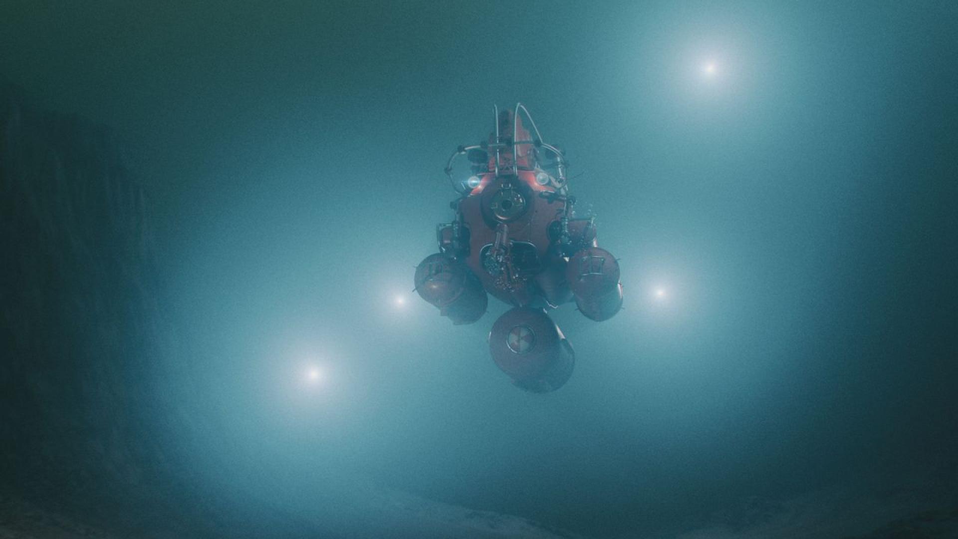 Легла от миди килими от бактерии и поляни от тръбни червеи