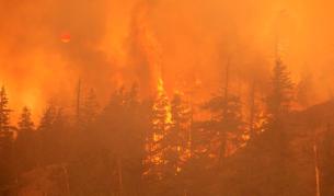 Снимката е илюстративна