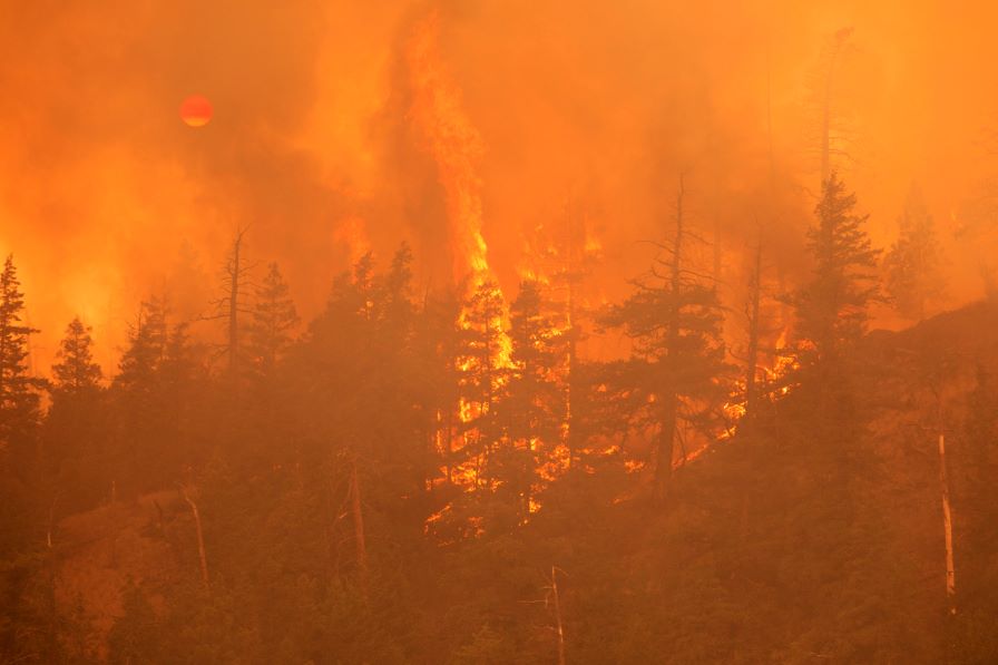 Огнен ад в Австралия: Загина пожарникар, а 40 къщи са изпепелени