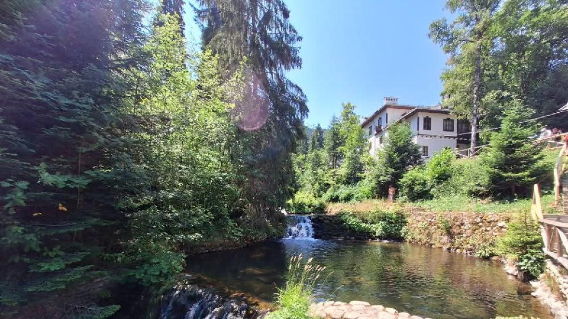 Вгорещите летни дни всеки търси малко прохлада по възможност примесена