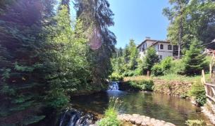 Магичната красота на Царска Бистрица Магичната красота на Царска Бистрица