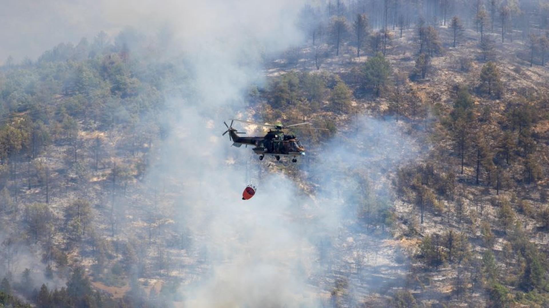 Голям пожар гори край Сунгурларе Пламъците са избухнали около 22 00