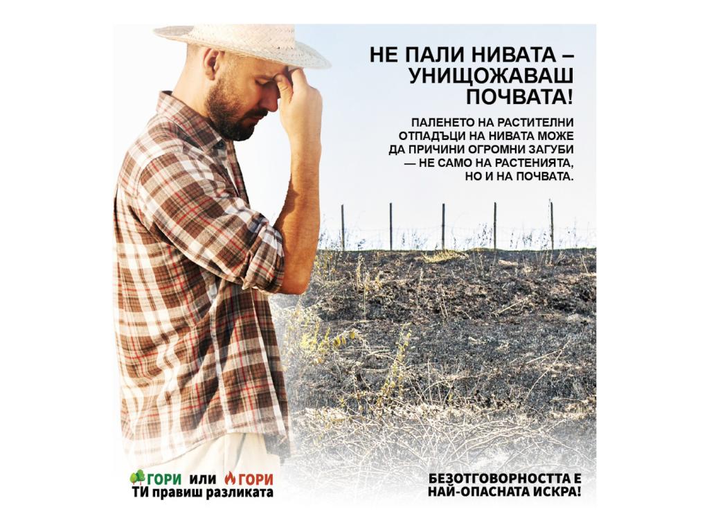 Огънят унищожава почвата
