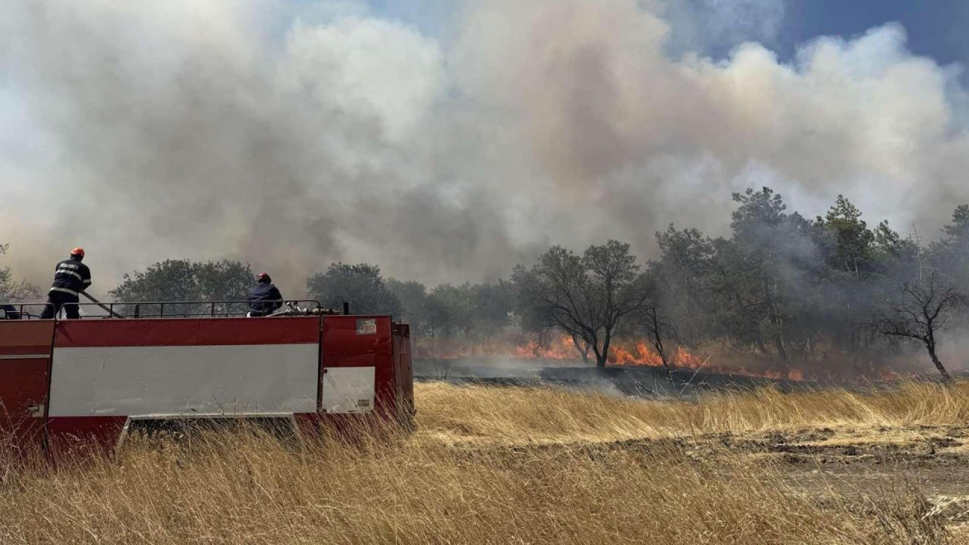 Шест часа продължи борбата с пожара във вилната зона Лозницата