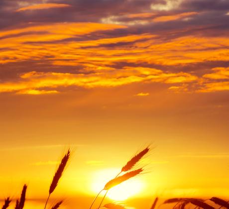 На 21 август православните християни отбелязват деня в чест на