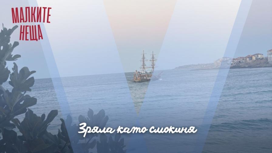 <p>Зряла като смокиня</p>