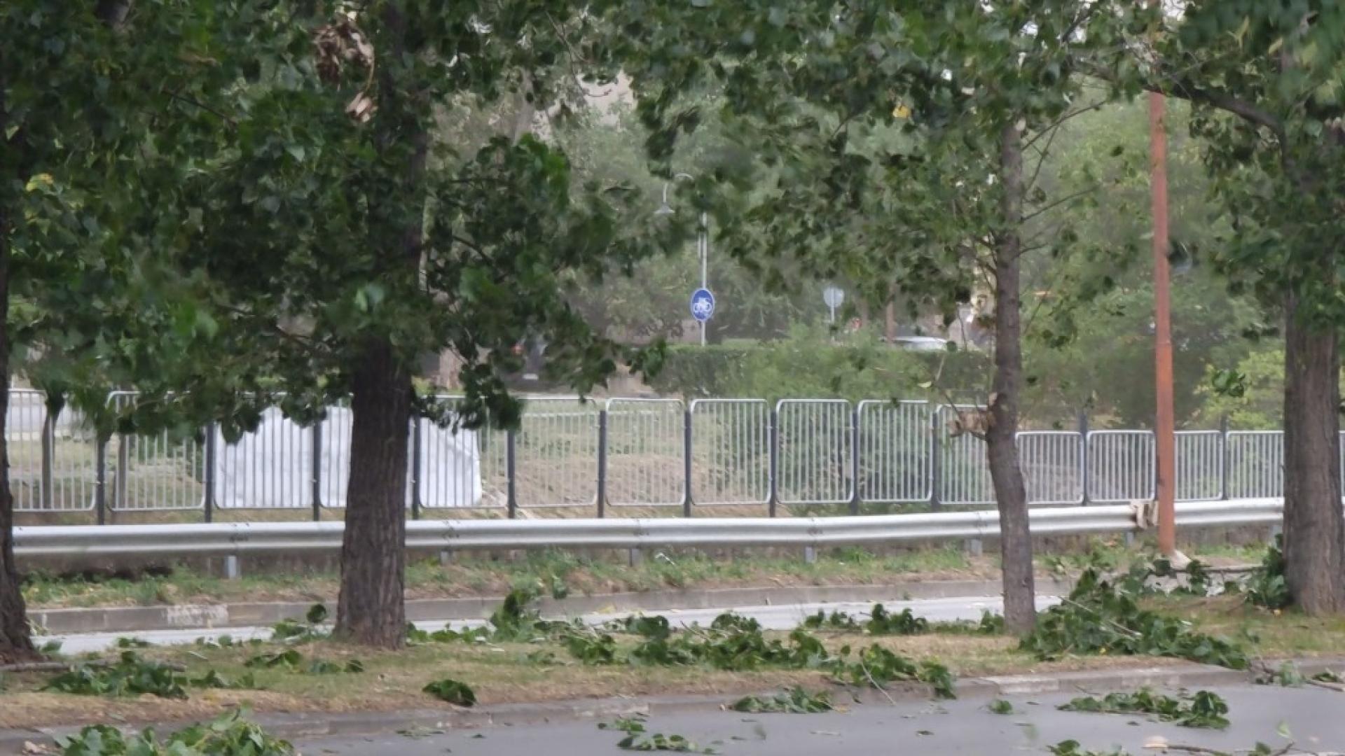 ВКюстендил са подадени над 20 сигнала за поражения от бурята