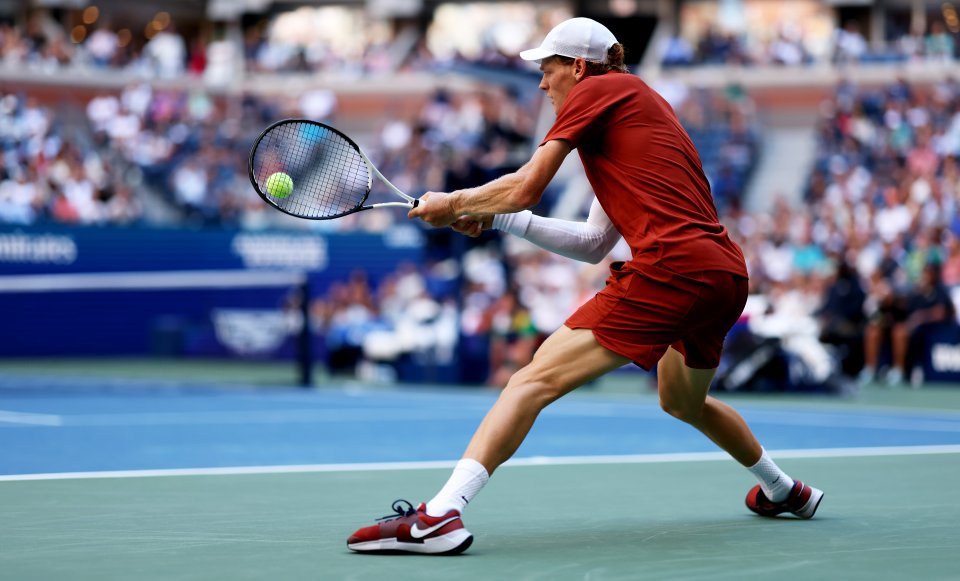 Яник Синер Денис Шаповалов1