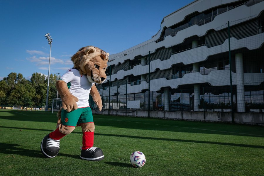 Тренировка на националния отбор на България1