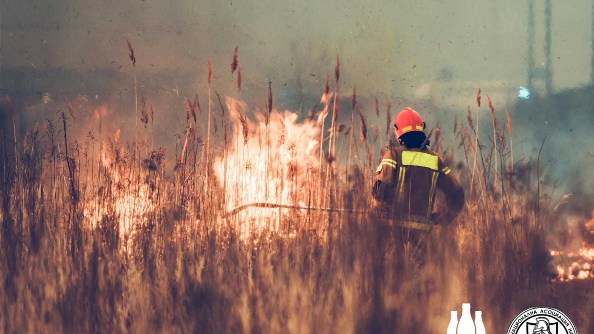 Вотговор на безпрецедентната ситуация с горските пожари в страната Фондацията