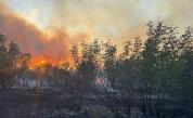 Бедствено положение, огромен пожар в Сакар