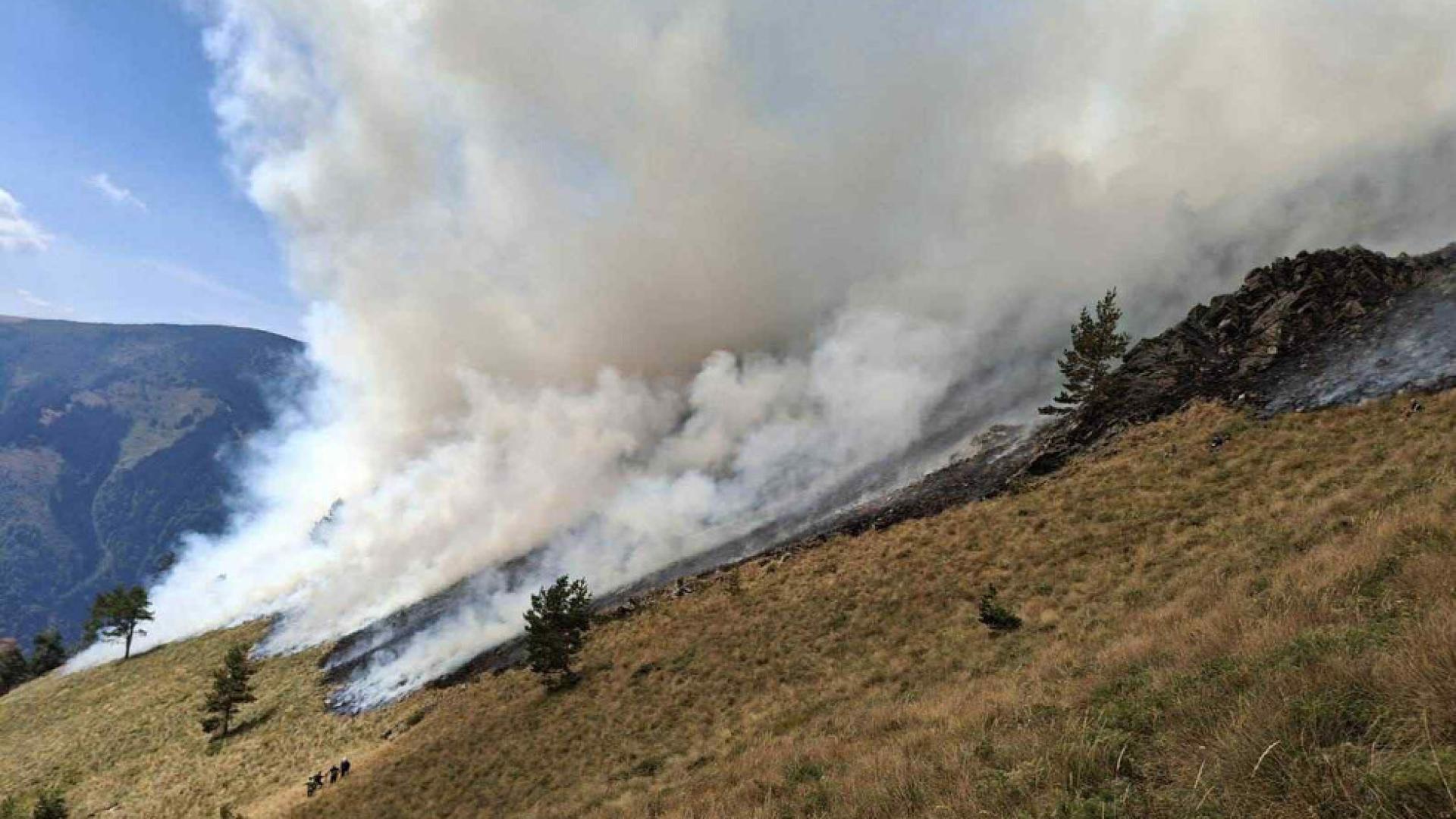 Горският пожар в Природен парк Рилски манастир се разраства Площта
