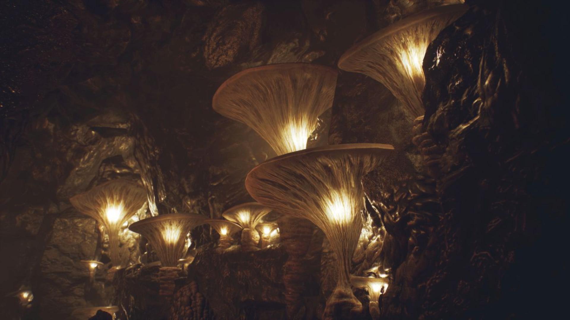 Когато хората мислят за най големите организми на Земята обикновено си