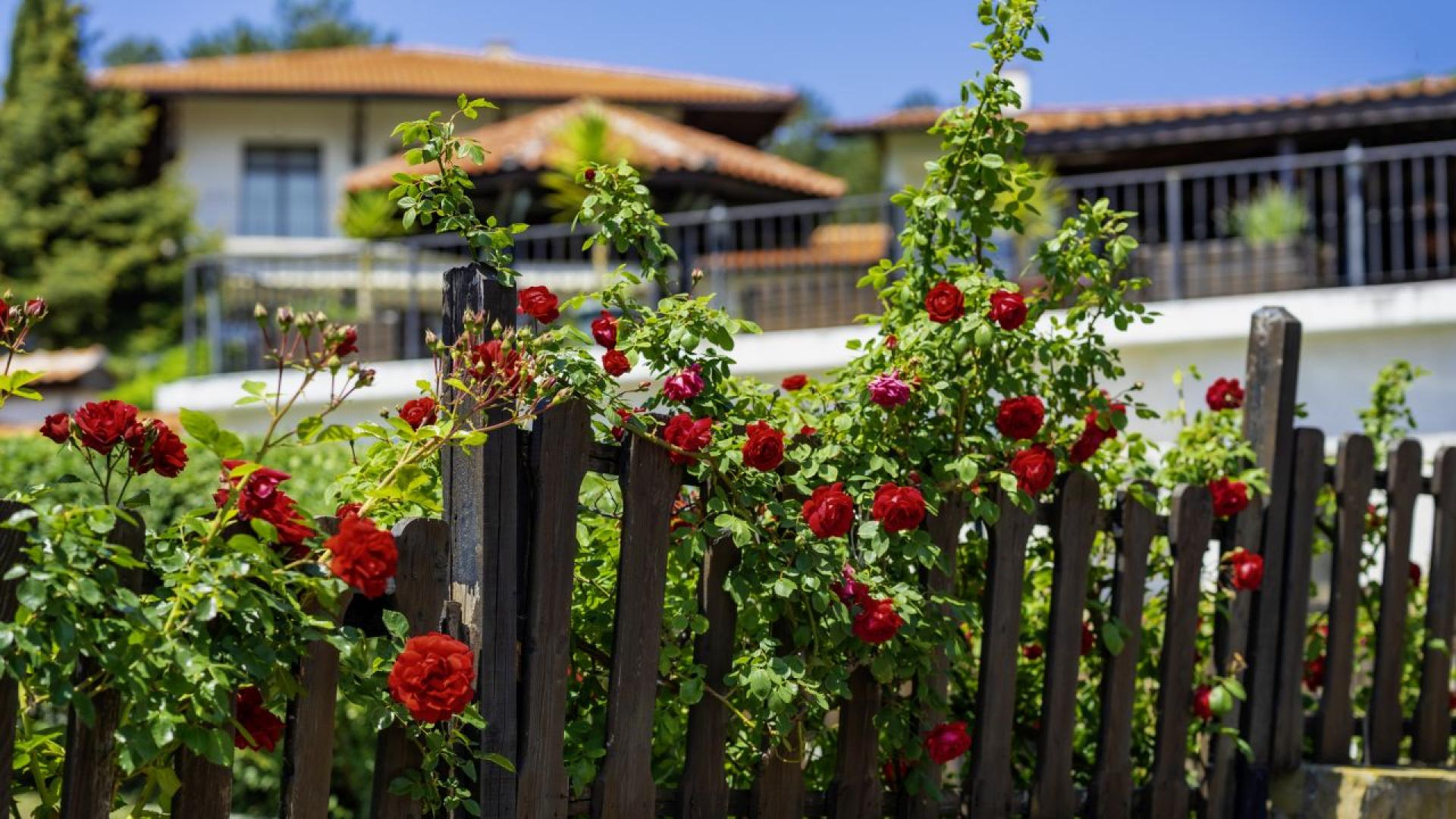 Вложенията на чужденци в имоти у нас отново намаляват За