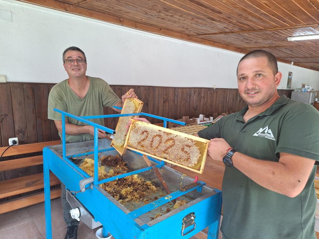 Пчелинът на горските