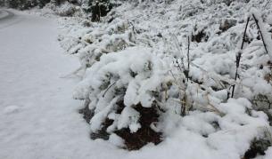 <p>Оранжев код за сняг, виелици и поледици в първия ден на февруари</p>