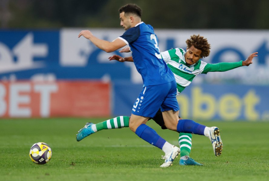 Монтана Черно море1