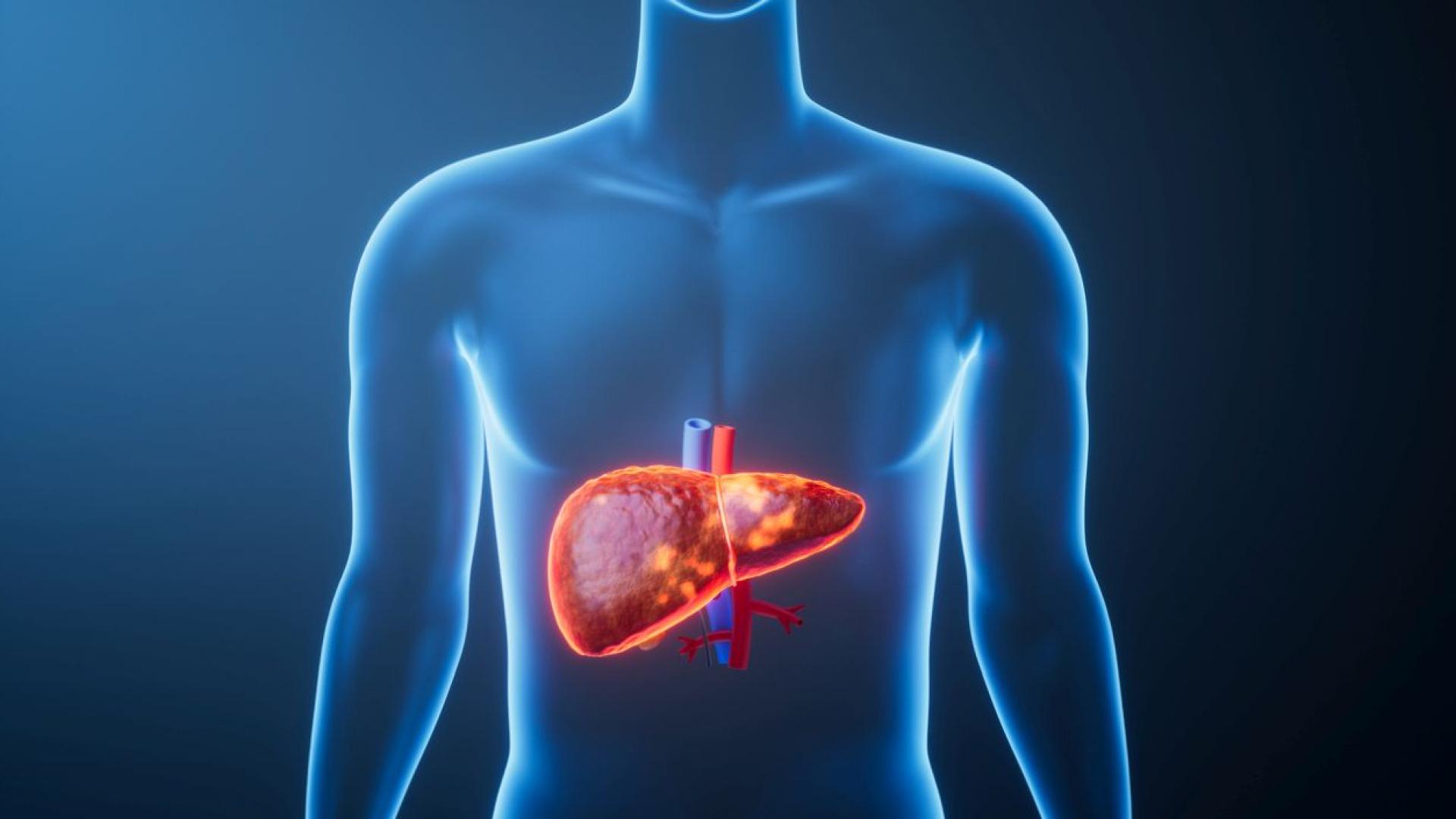 След десетилетие на работа изследователите са по близо от всякога до