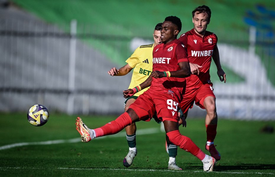 Добруджа ЦСКА1