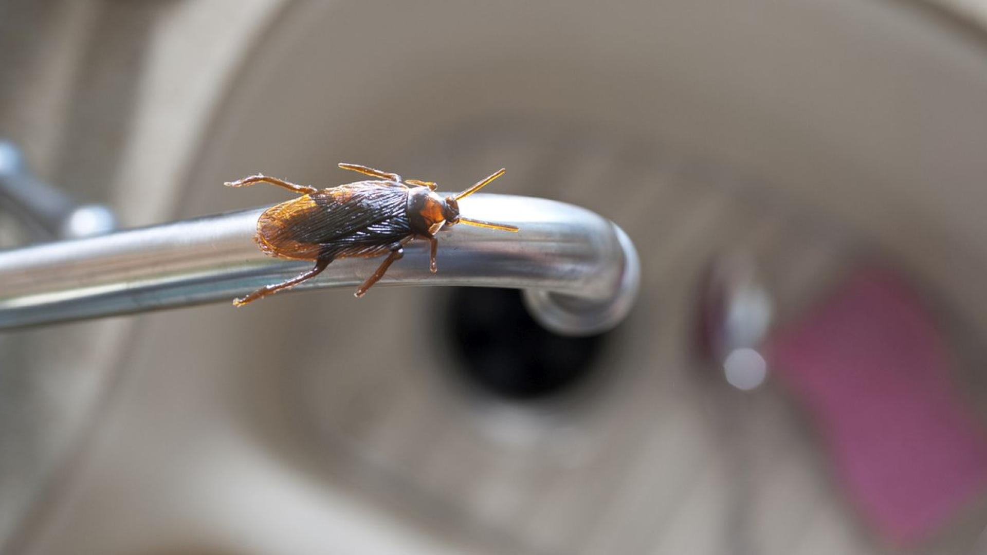 Южнокорейската полиция обяви че ще поиска заповед за арест на