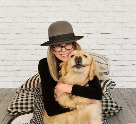 В света на Холивуд където светлините на прожекторите често ослепяват