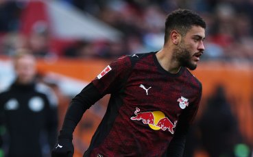 В Германия възхитени от откритие на Мъри Стоилов