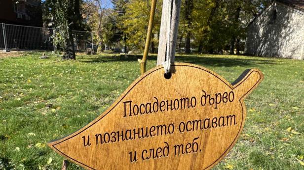 Засадиха Алея на будителите във Видин