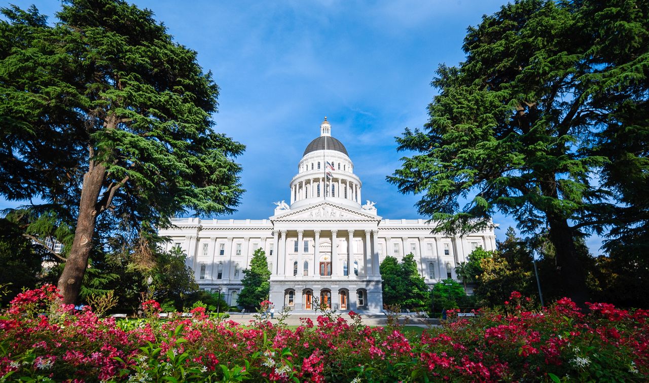 Ужасно миришещи дървета са "опасност за безопасността" в Сакраменто