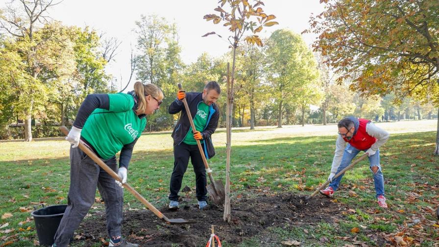 „Моят зелен град“: 60 дървета в столицата за 60 години Кока-Кола в България