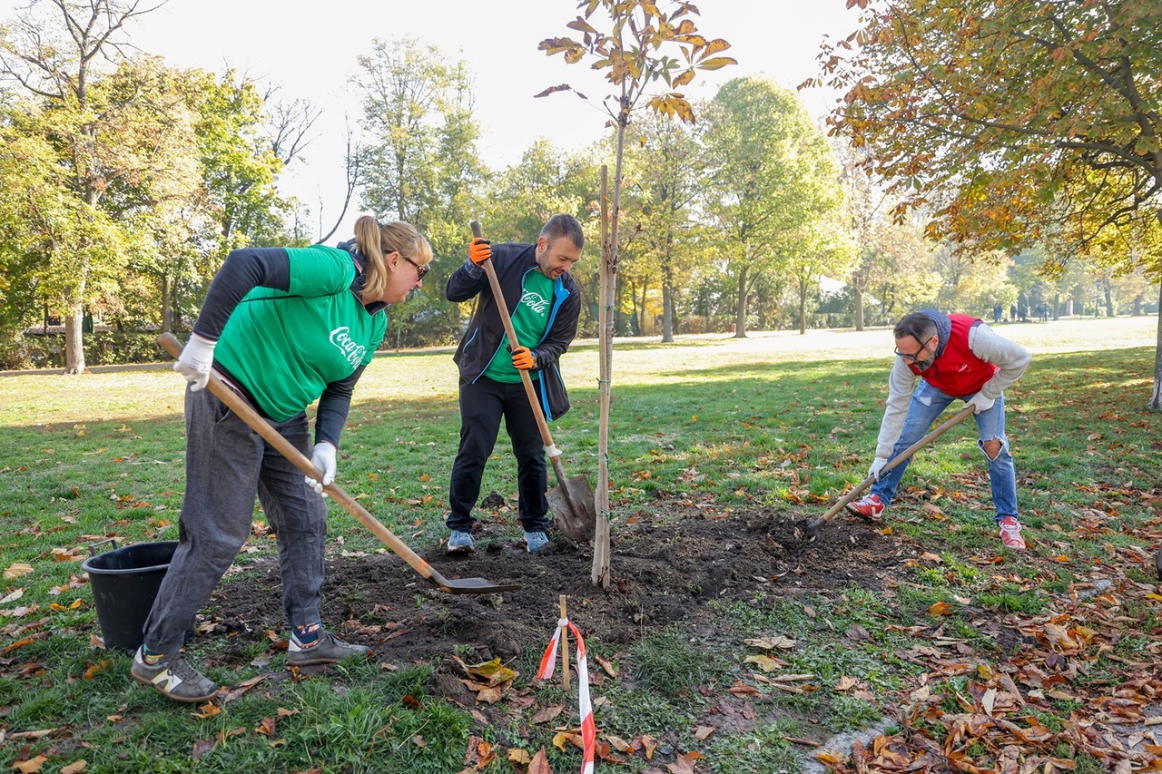 „Моят зелен град“: 60 дървета в столицата за 60 години Кока-Кола в България