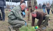 Горски и военни засаждат борова гора