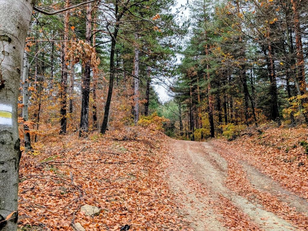 Екопътека "Мурга"