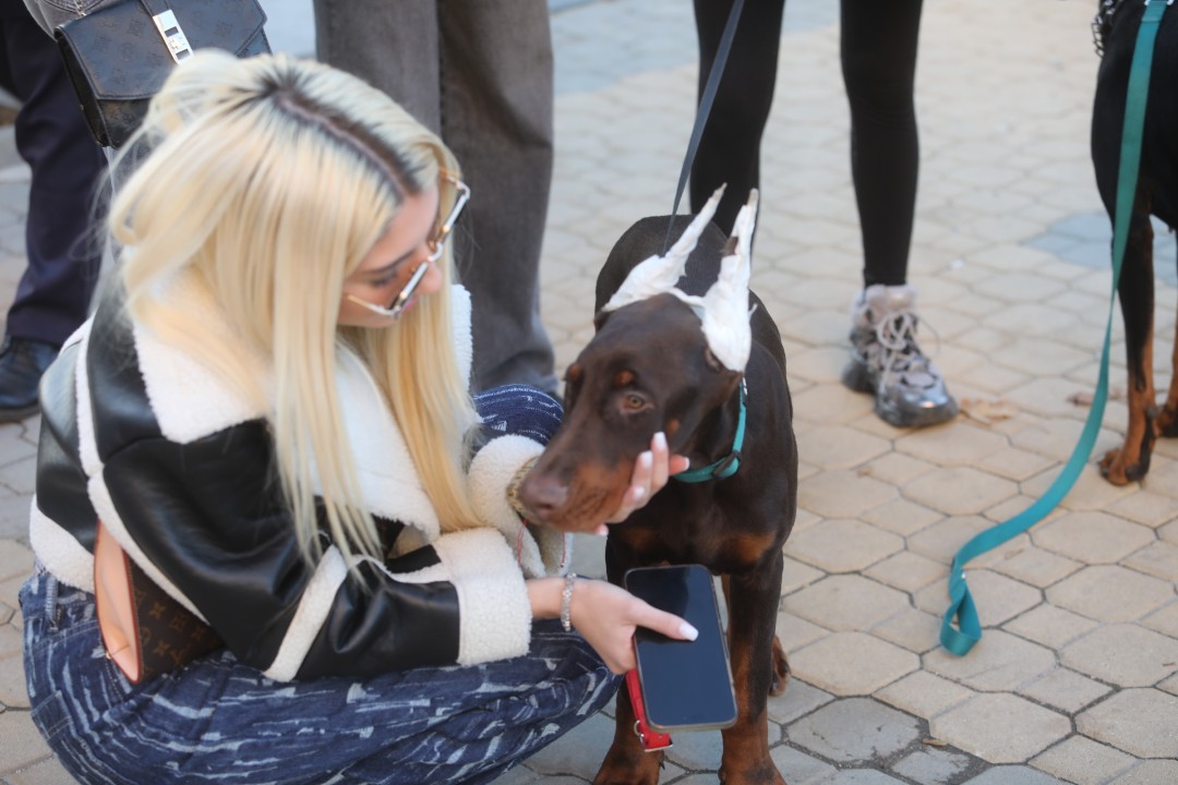 <p>Протест срещу насилието над животни се проведе пред ВМА. Протестът е организиран от &quot;Приятели на Мечо&quot; и &quot;Невидими животни&quot;. Повод за недоволството е прегазването на кучето Мая в София. Протестиращите искат &quot;Справедливост за Мая&quot;. Протестиращите настояват ВМА да уволни доктор Ненад Цоневски, който беше заснет да минава с автомобил през кучето пред гараж в квартал &quot;Разсадника&quot;.</p>