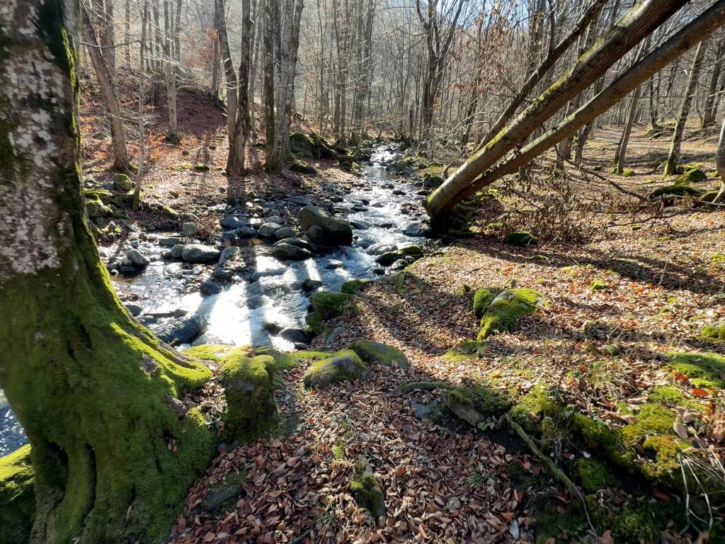 По течението на Голяма река