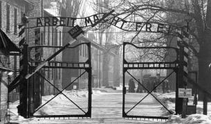 <p>Германия отмени &quot;скандален&quot; търг с нацистки артефакти</p>