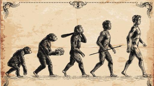 Проучване: Хората продължават да еволюират