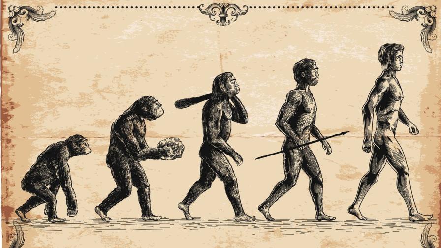 Проучване: Хората продължават да еволюират