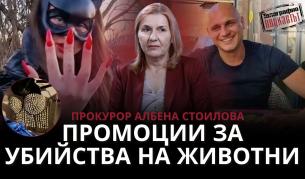 73 клипа с насилие и порнография: Говорителят на Пернишката прокуратура с шокиращи детайли пред "Телеграфно подкастът"